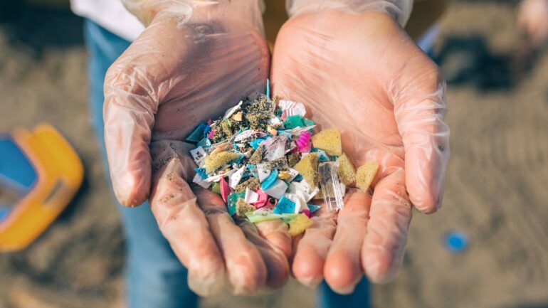 Hands hold hundreds of pieces of plastic