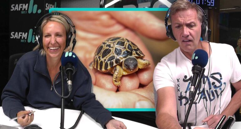 Bec Soda talk about Mr Pickles the Tortoise