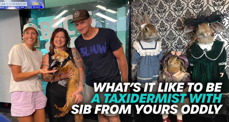 what's it like to be a taxidermist