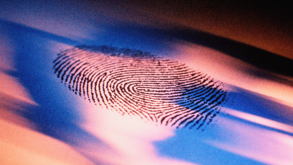 Do Identical Twins Have Identical Fingerprints 1095