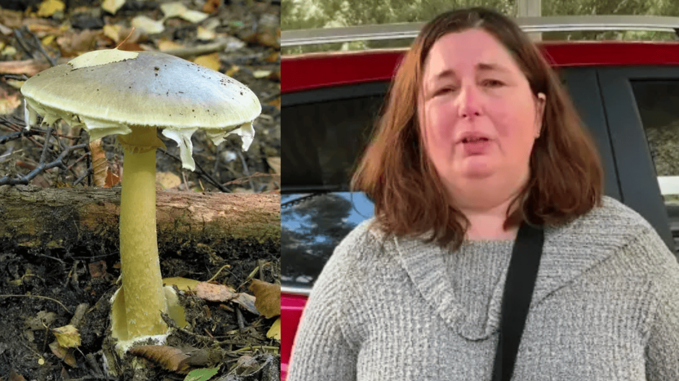 Mushroom Lunch Erin Patterson Faces Court Today After Being Charged