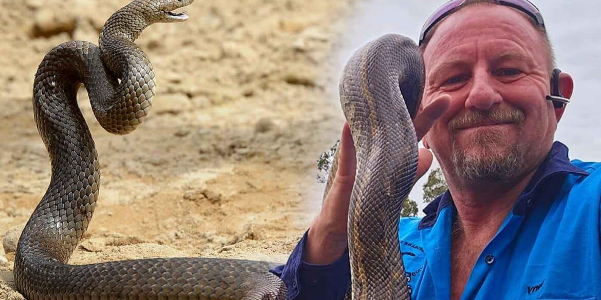 Gold Coast snake catcher Mike Harrison told us his harrowing storey about surviving a brown snake bite.