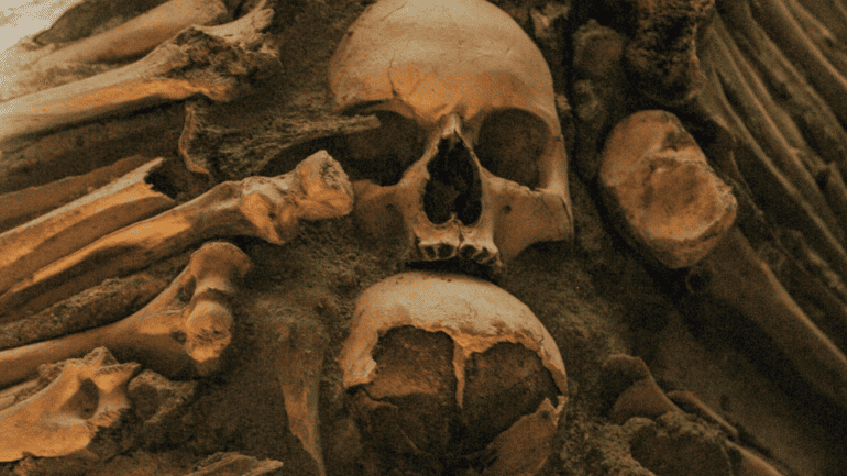 skull and bones in sand