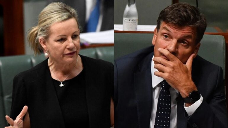 Sussan Ley has been elected leader of the Liberal Party, making history as the first woman to hold the role.