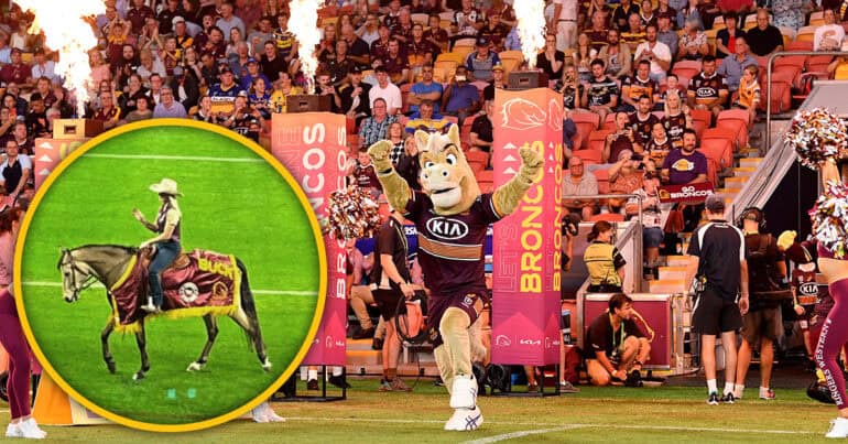 Buck the horse broncos nrl brisbane