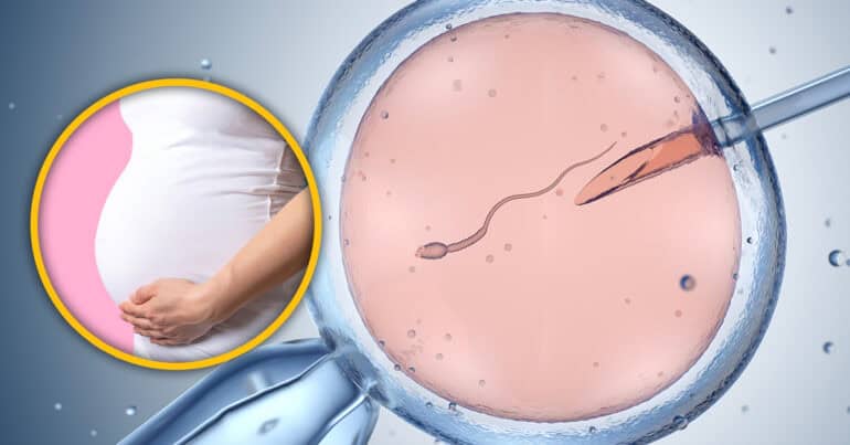 IVF Aussie influencer