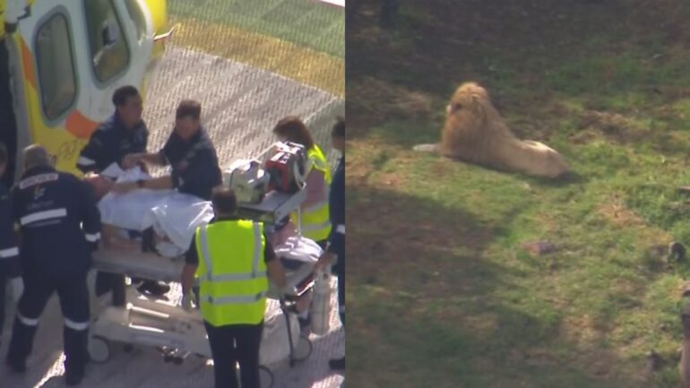 A woman is recovering in Brisbane’s Princess Alexandra Hospital after being mauled by a lion at a zoo west of Brisbane.